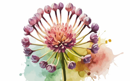 Watercolor illustration of a flower on a watercolor background. Vector.のイラスト素材