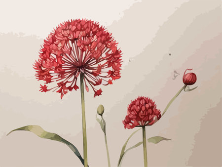 Illustration of a red Allium flower on a grunge backgroundのイラスト素材