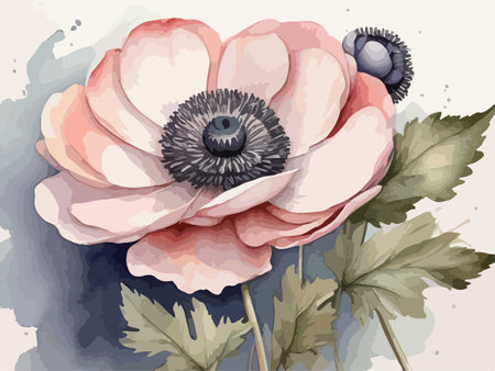 Illustration of an anemone flower on a textured backgroundのイラスト素材