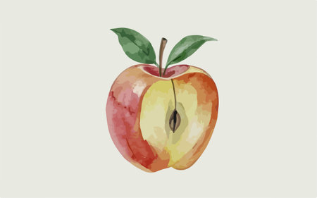 Watercolor illustration of an apple on a white background. Vector illustration.のイラスト素材