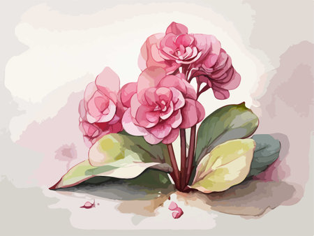 Illustration of a pink hydrangea in watercolor styleのイラスト素材