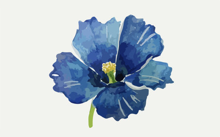 Blue Hibiscus flower. Isolated vector illustration on white background.のイラスト素材