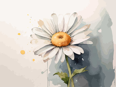 Chamomile flower on watercolor background. Vector illustration.のイラスト素材
