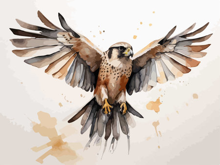 Peregrine falcon in flight. Hand drawn vector illustrationのイラスト素材