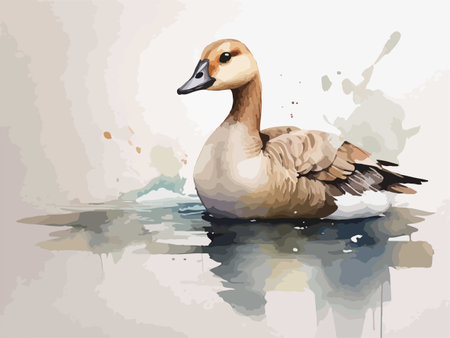 Vector watercolor illustration of a goose swimming in the water on a white backgroundのイラスト素材