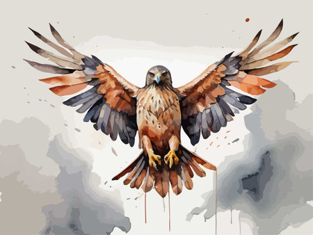 Buteo buteo bird flying in the sky illustration.のイラスト素材