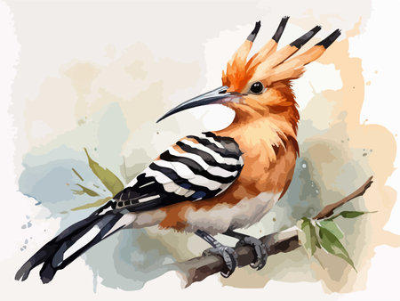 Eurasian Hoopoe, Common Hoopoe, Watercolor illustrationのイラスト素材