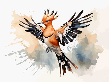 Eurasian Hoopoe bird with wings spread. Watercolor illustrationのイラスト素材