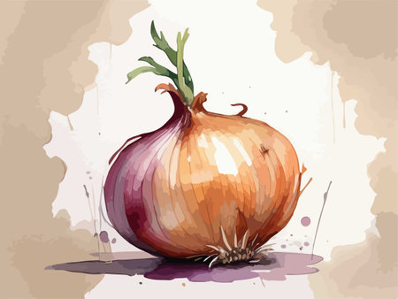Illustration of onion on grunge background with watercolor splashesのイラスト素材