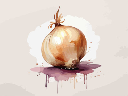 Illustration of onion on a watercolor background. Vector illustration.のイラスト素材