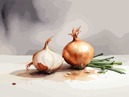 Illustration of two onions on a white background with watercolorsのイラスト素材