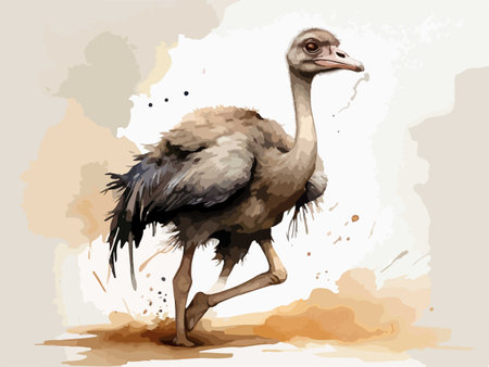 Ostrich. Hand drawn vector illustration in watercolor style.のイラスト素材