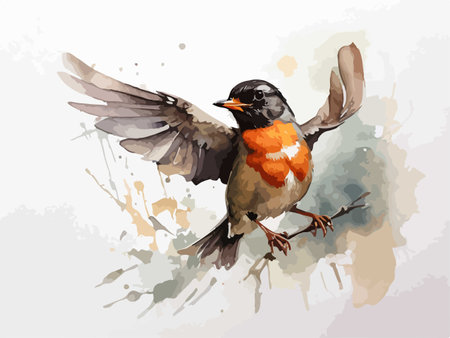 Watercolor illustration of a robin bird on a branch with wings spreadのイラスト素材