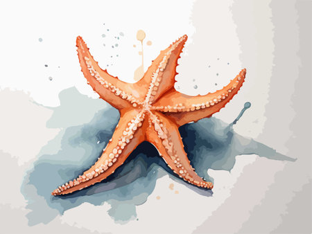 Illustration of a starfish in watercolor style. Vector illustration.のイラスト素材