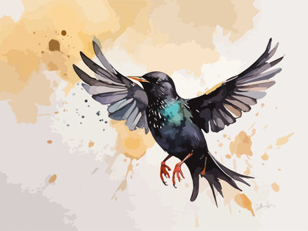 Vector illustration of a starling with wings spread on a watercolor backgroundのイラスト素材