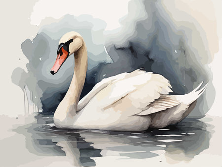 White swan on the water. Watercolor style vector illustration.のイラスト素材