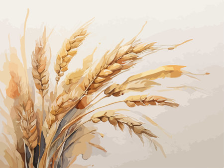 Ears of wheat on a light background. Vector illustration for your designのイラスト素材