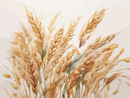 Ears of wheat on a light background. Watercolor illustration.のイラスト素材