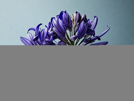 A bouquet of purple lilies on a blue background with copy spaceの素材