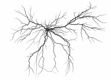 Lightning stroke in the sky.
