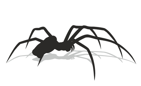 Silhouette of black spider.のイラスト素材