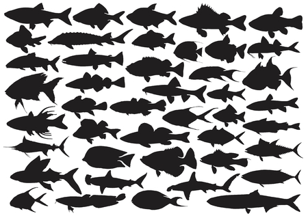 Set of silhouettes of sea fishes.のイラスト素材