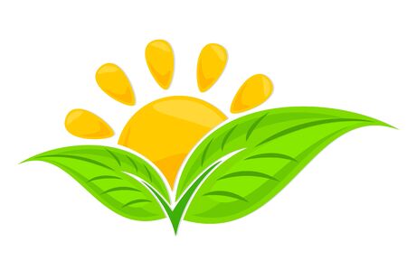 Logo of green plant with sun.のイラスト素材