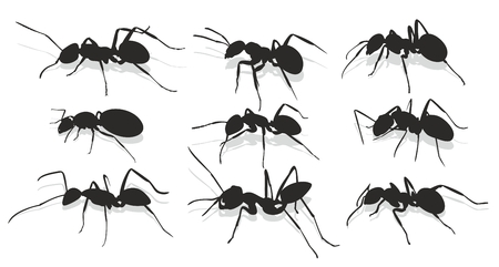 Silhouettes of ants.のイラスト素材