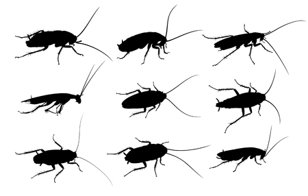 Silhouettes of cockroaches.のイラスト素材