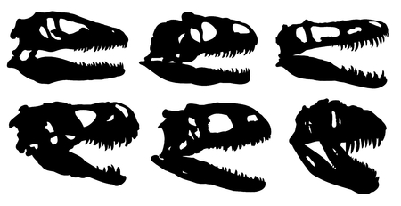 Skulls of dinosaurs.のイラスト素材