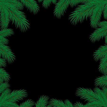 Frame with spruce branches.のイラスト素材