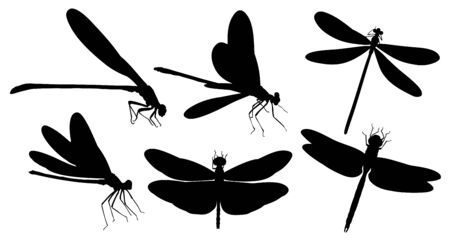 Dragonfly silhouettes.のイラスト素材
