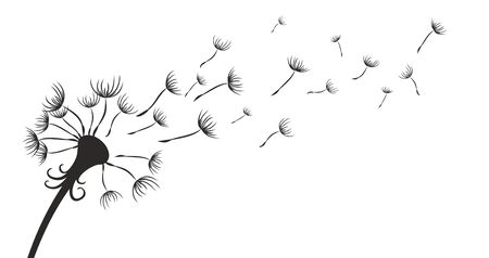 Field dandelion.のイラスト素材