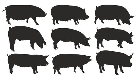 Silhouettes of pigs.のイラスト素材