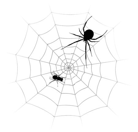 Spider with fly.のイラスト素材