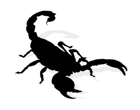 Silhouette of scorpion.のイラスト素材