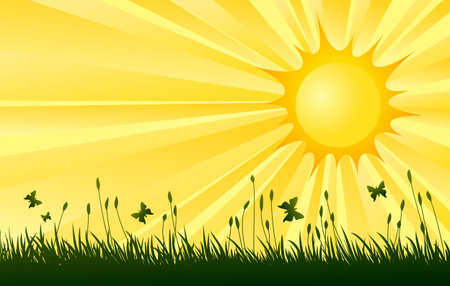 Meadow with sun.のイラスト素材