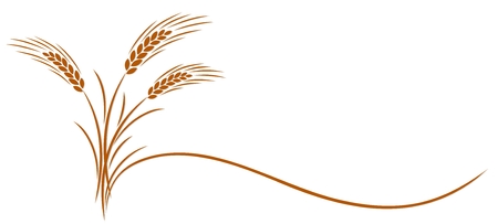Symbol of a gold ear of wheat.のイラスト素材