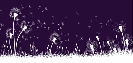 The dandelion Flowers with flying seeds.のイラスト素材