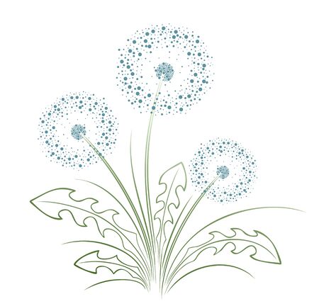 A flower of a field dandelion with seeds.のイラスト素材