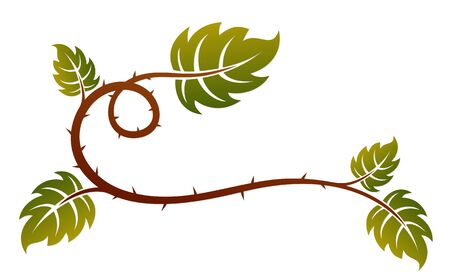 A symbol of a barbed plant with leaves.のイラスト素材