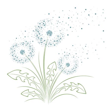 A flower of a field dandelion with flying seeds.のイラスト素材