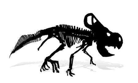The Skeleton of ancient big dinosaur.のイラスト素材