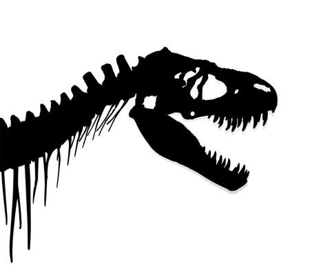 The Skeleton of ancient big dinosaur.のイラスト素材