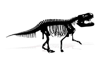 The Skeleton of ancient big dinosaur.のイラスト素材