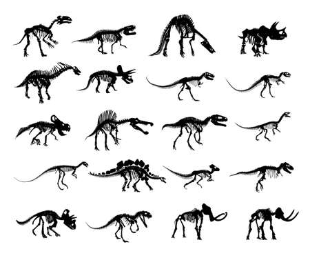 The big set of Skeleton ancient dinosaur.のイラスト素材
