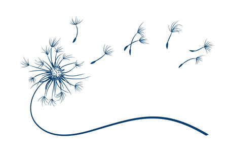 The Field dandelion flower symbol with flying seeds.のイラスト素材