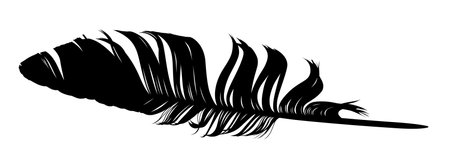 The Feather of bird silhouette.のイラスト素材