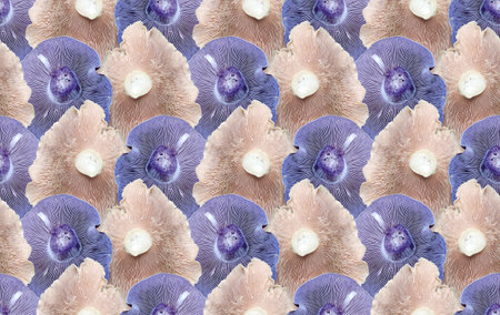 The seamless background with forest mushrooms.の写真素材