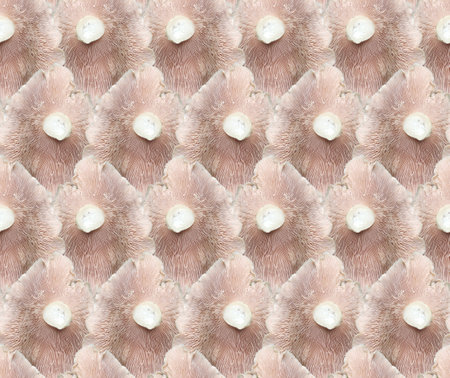 The seamless background with forest mushrooms.の写真素材